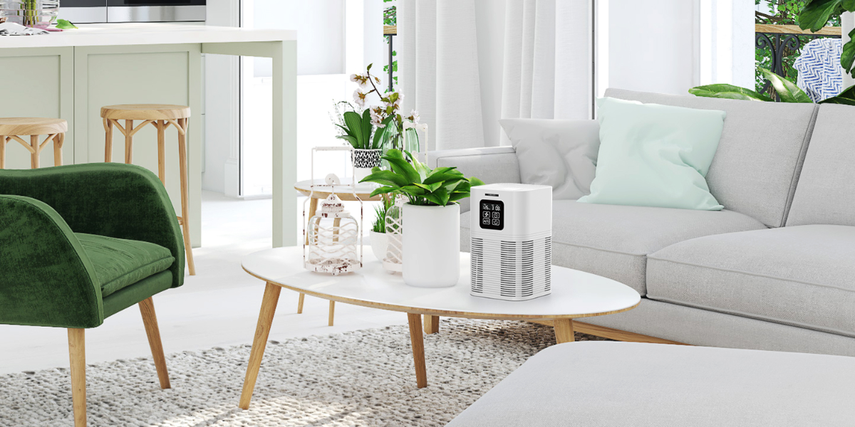 Are Home Air Purifiers Worth Buying? Ameifu