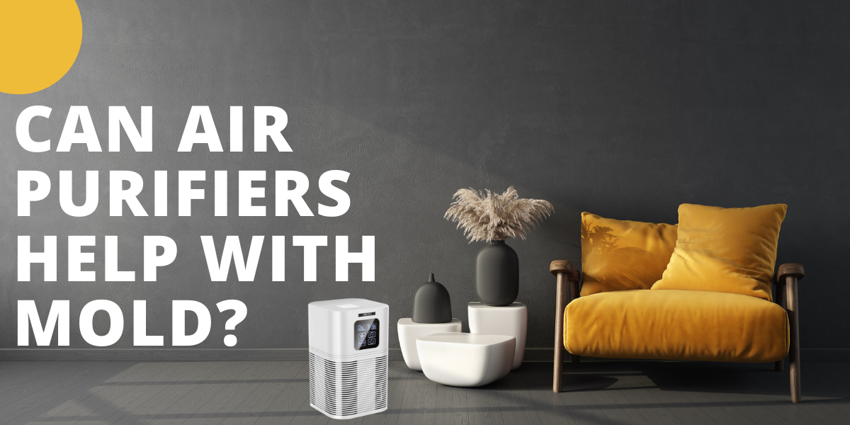 Can air purifiers help with mold? Ameifu