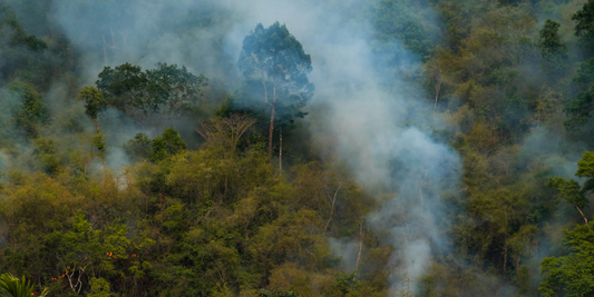 Do air purifiers help with wildfire smoke?