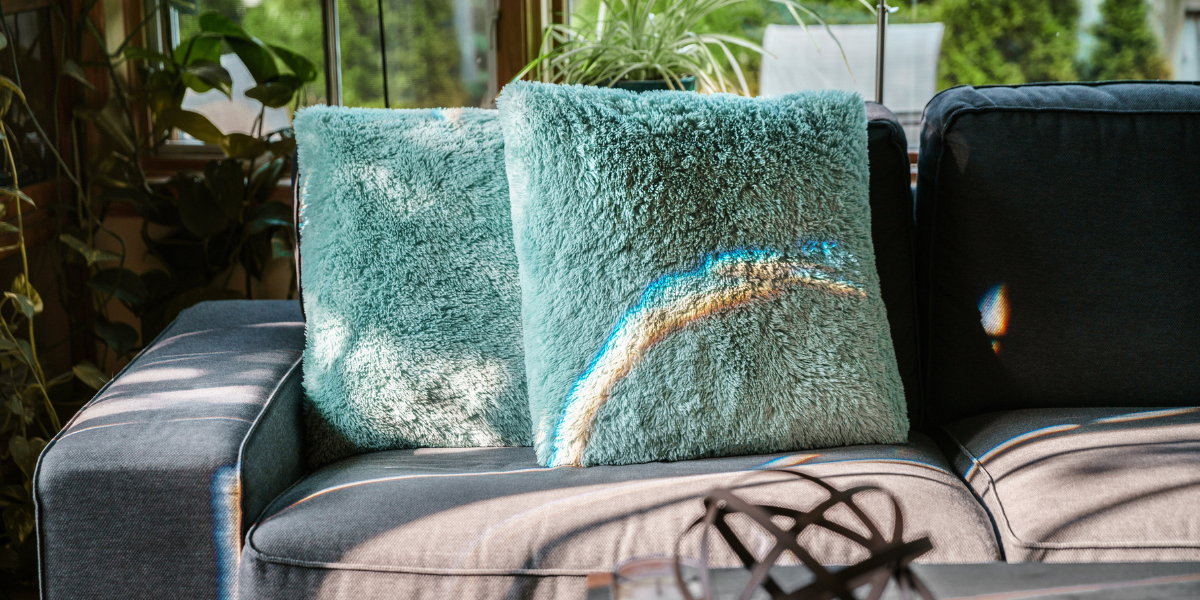 How to Remove Dust Mite Allergies From Your Home Ameifu