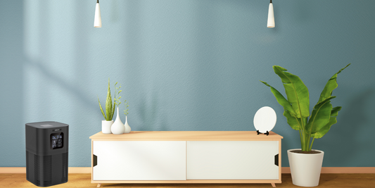 Should you leave the air purifier on all day?