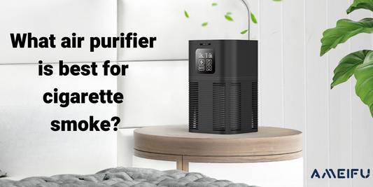 What air purifier is best for cigarette smoke?