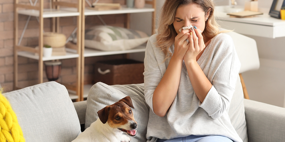Do air purifiers help with allergies?