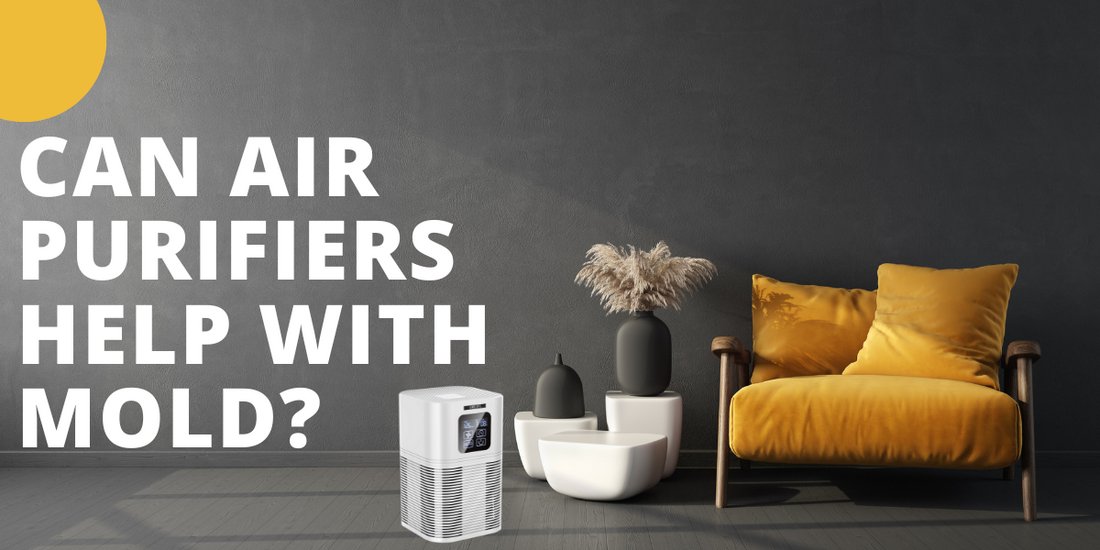 Can air purifiers help with mold?