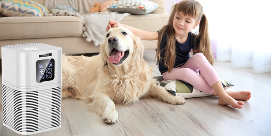 Do air purifiers help with dog hair?