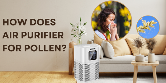 How does air purifier for pollen?