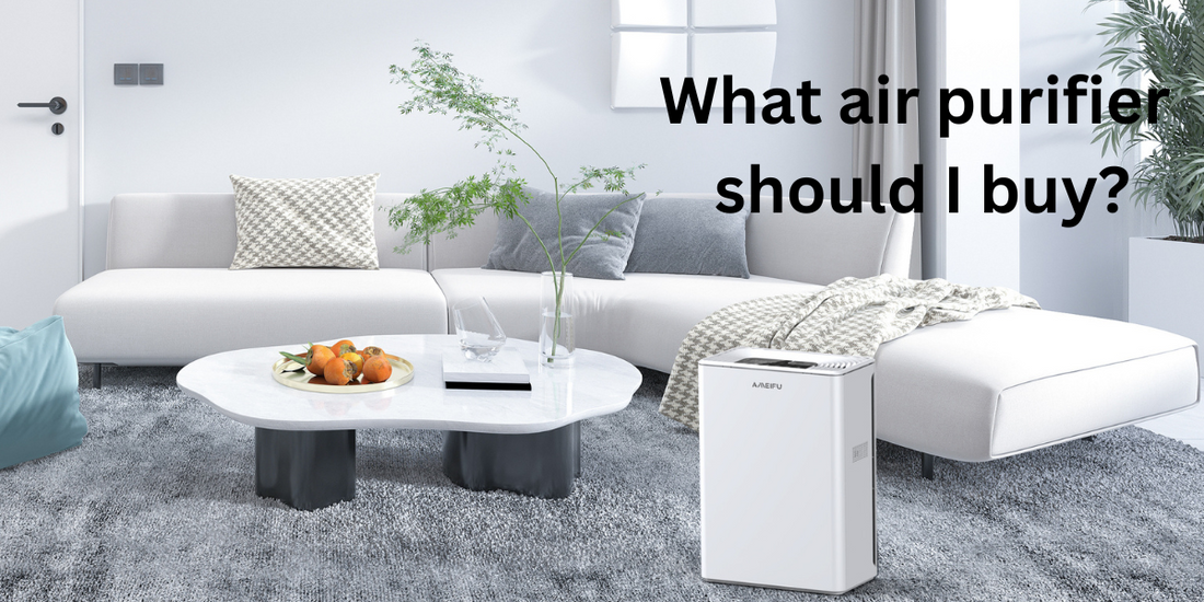 What air purifier should i buy?
