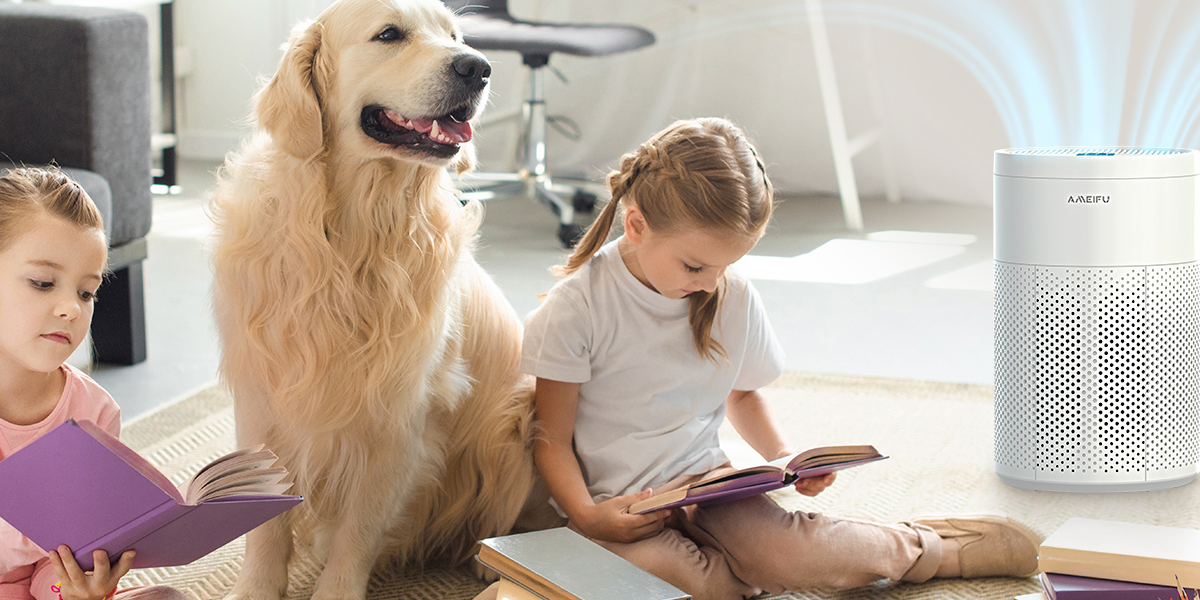 Which air purifier is best for pets? Ameifu