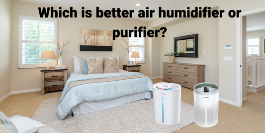 Which is better air humidifier or purifier?